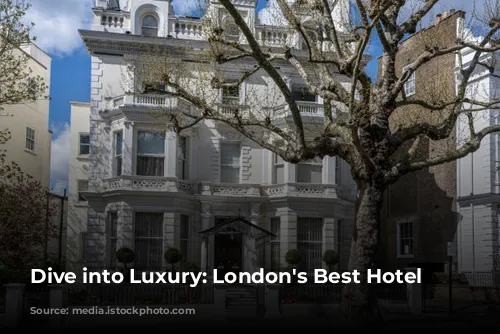 Dive into Luxury: London's Best Hotel Bars