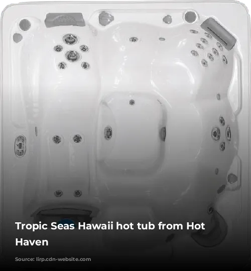 Tropic Seas Hawaii hot tub from Hot Tub Haven