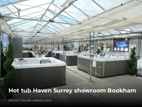 Hot tub Haven Surrey showroom Bookham