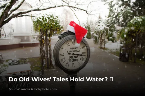 Do Old Wives' Tales Hold Water? 🌧️