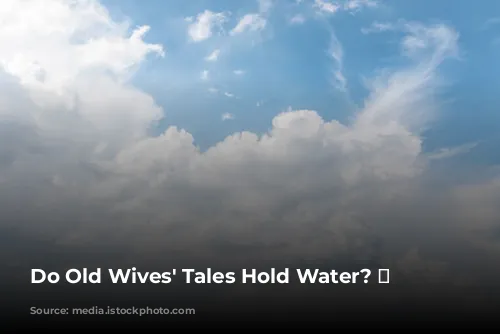 Do Old Wives' Tales Hold Water? 🌧️