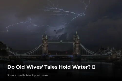 Do Old Wives' Tales Hold Water? 🌧️