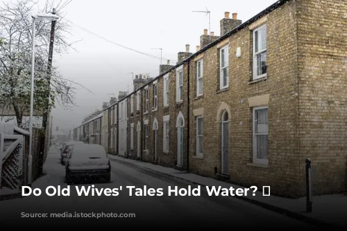 Do Old Wives' Tales Hold Water? 🌧️