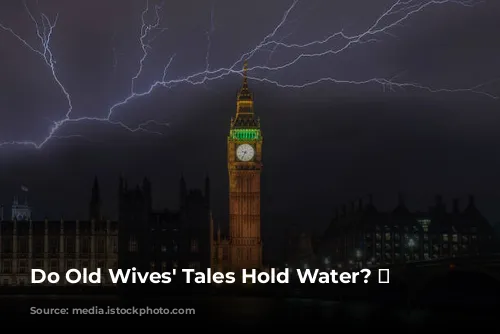 Do Old Wives' Tales Hold Water? 🌧️