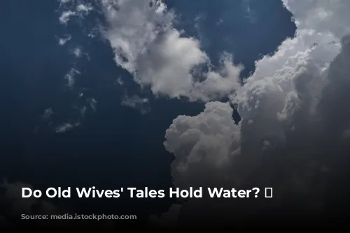 Do Old Wives' Tales Hold Water? 🌧️