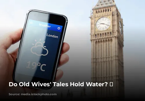 Do Old Wives' Tales Hold Water? 🌧️