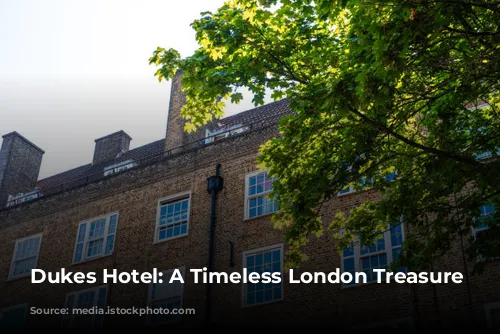 Dukes Hotel: A Timeless London Treasure