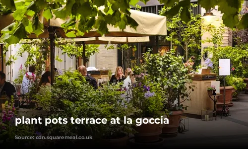 plant pots terrace at la goccia