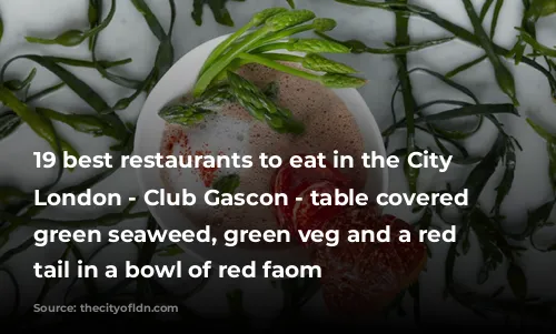 19 best restaurants to eat in the City of London - Club Gascon - table covered in green seaweed, green veg and a red lobster tail in a bowl of red faom