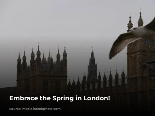 Embrace the Spring in London!