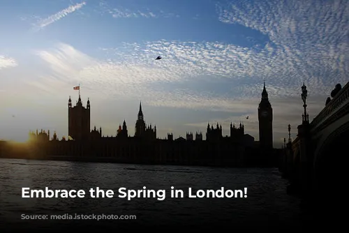 Embrace the Spring in London!