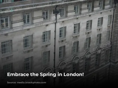 Embrace the Spring in London!