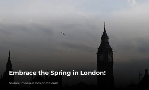 Embrace the Spring in London!