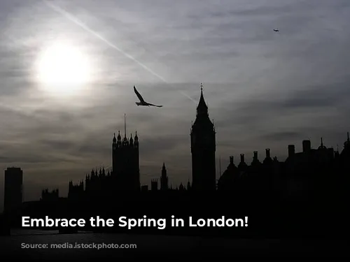 Embrace the Spring in London!