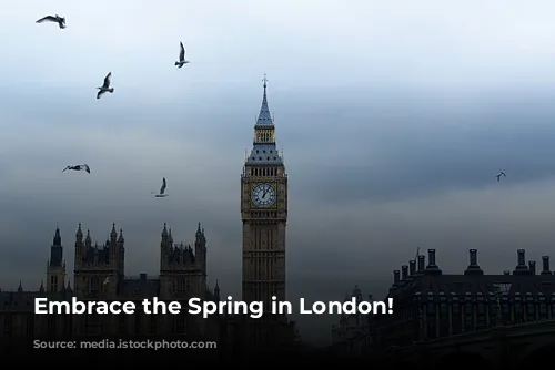 Embrace the Spring in London!