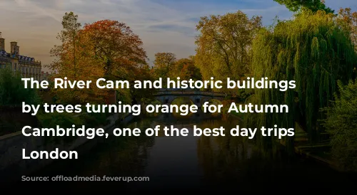 The River Cam and historic buildings surrounded by trees turning orange for Autumn in Cambridge, one of the best day trips from London