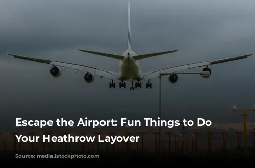 Escape the Airport: Fun Things to Do During Your Heathrow Layover