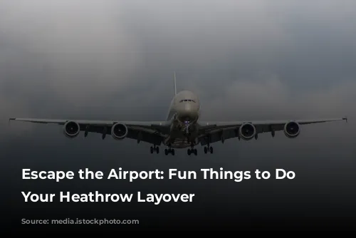 Escape the Airport: Fun Things to Do During Your Heathrow Layover