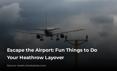 Escape the Airport: Fun Things to Do During Your Heathrow Layover