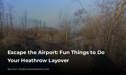 Escape the Airport: Fun Things to Do During Your Heathrow Layover