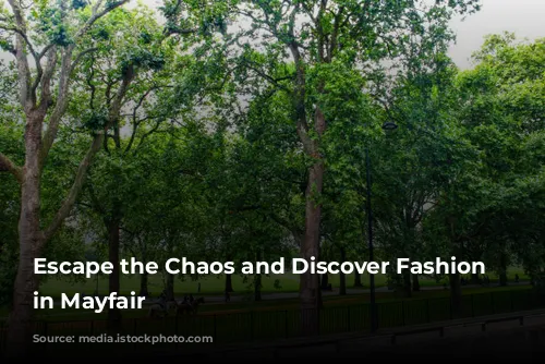 Escape the Chaos and Discover Fashion Heaven in Mayfair