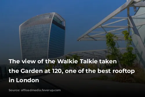 The view of the Walkie Talkie taken from the Garden at 120, one of the best rooftop gardens in London