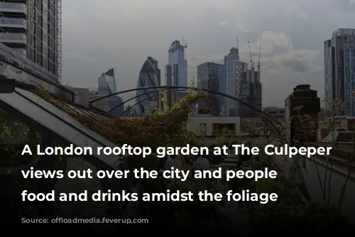 A London rooftop garden at The Culpeper with views out over the city and people enjoying food and drinks amidst the foliage