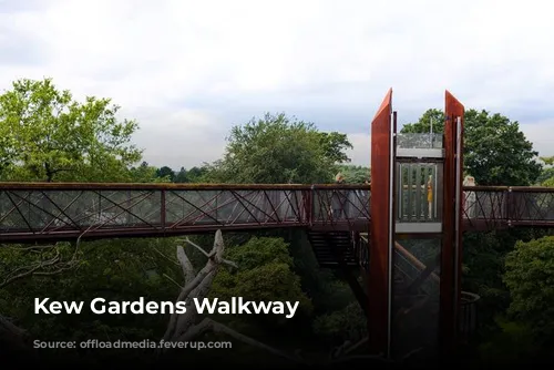 Kew Gardens Walkway 