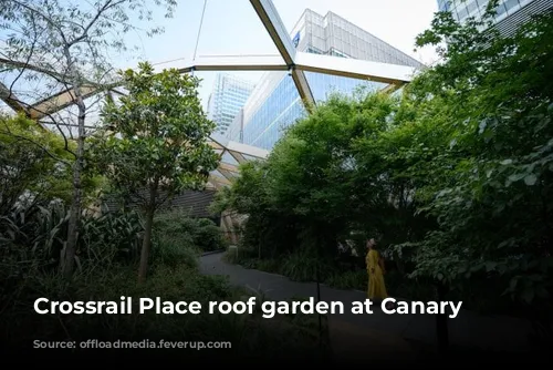 Crossrail Place roof garden at Canary Wharf.