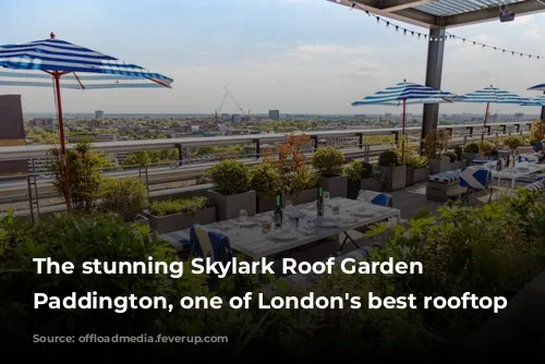 The stunning Skylark Roof Garden in Paddington, one of London's best rooftop gardens