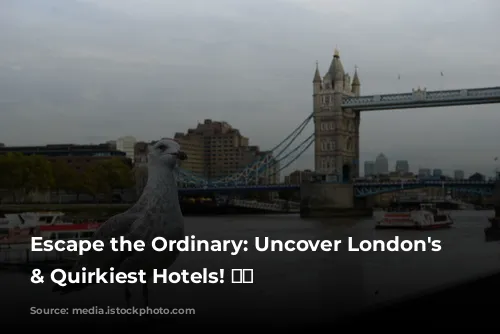 Escape the Ordinary: Uncover London's Coolest & Quirkiest Hotels! 🏨😍