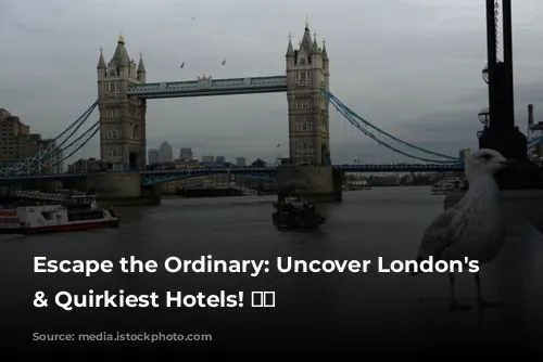 Escape the Ordinary: Uncover London's Coolest & Quirkiest Hotels! 🏨😍