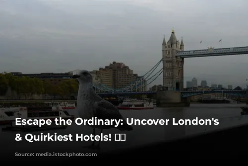 Escape the Ordinary: Uncover London's Coolest & Quirkiest Hotels! 🏨😍