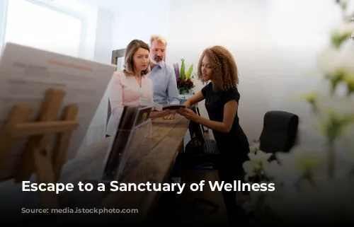 Escape to a Sanctuary of Wellness