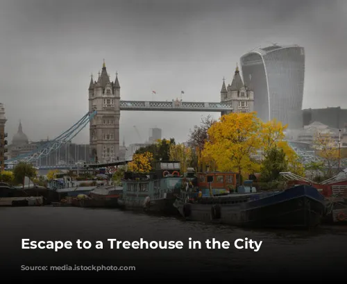 Escape to a Treehouse in the City