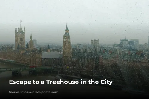 Escape to a Treehouse in the City