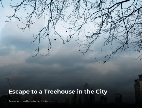 Escape to a Treehouse in the City