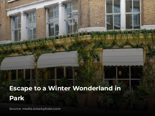 Escape to a Winter Wonderland in Hyde Park