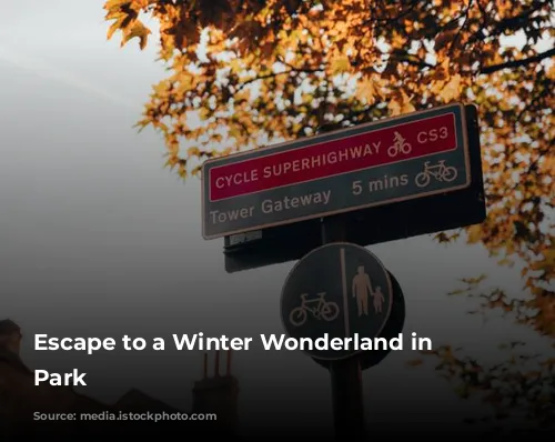 Escape to a Winter Wonderland in Hyde Park