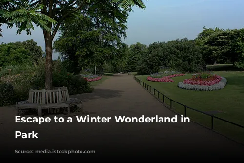 Escape to a Winter Wonderland in Hyde Park