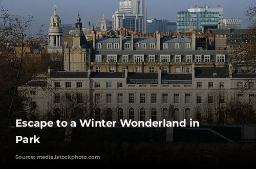 Escape to a Winter Wonderland in Hyde Park