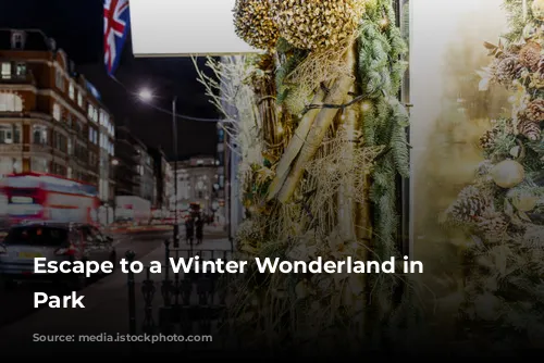 Escape to a Winter Wonderland in Hyde Park