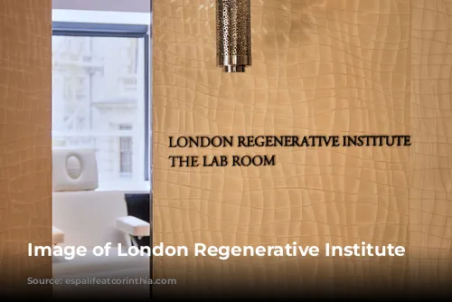 Image of London Regenerative Institute interior