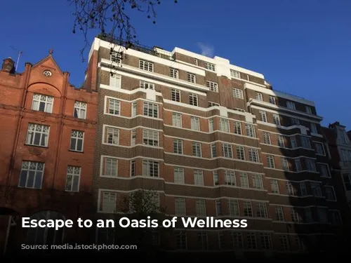 Escape to an Oasis of Wellness