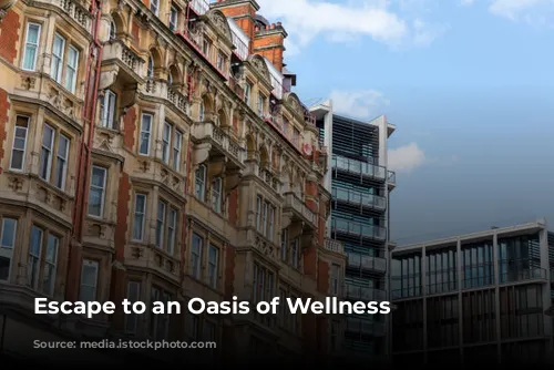 Escape to an Oasis of Wellness