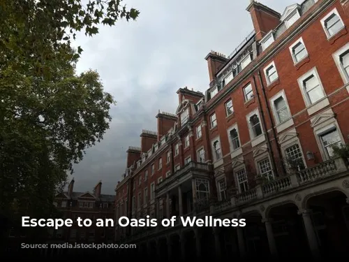 Escape to an Oasis of Wellness