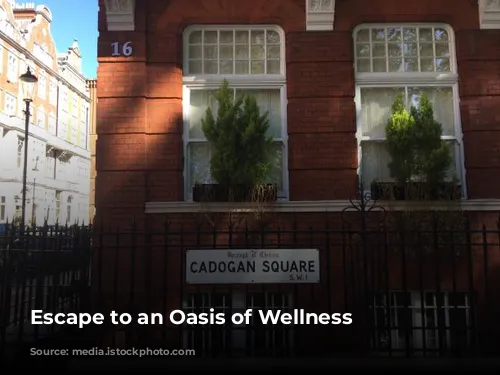 Escape to an Oasis of Wellness