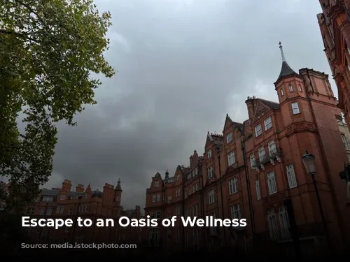 Escape to an Oasis of Wellness