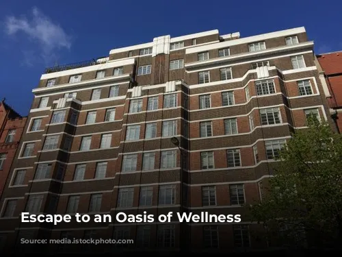 Escape to an Oasis of Wellness