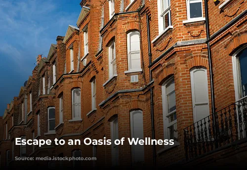 Escape to an Oasis of Wellness